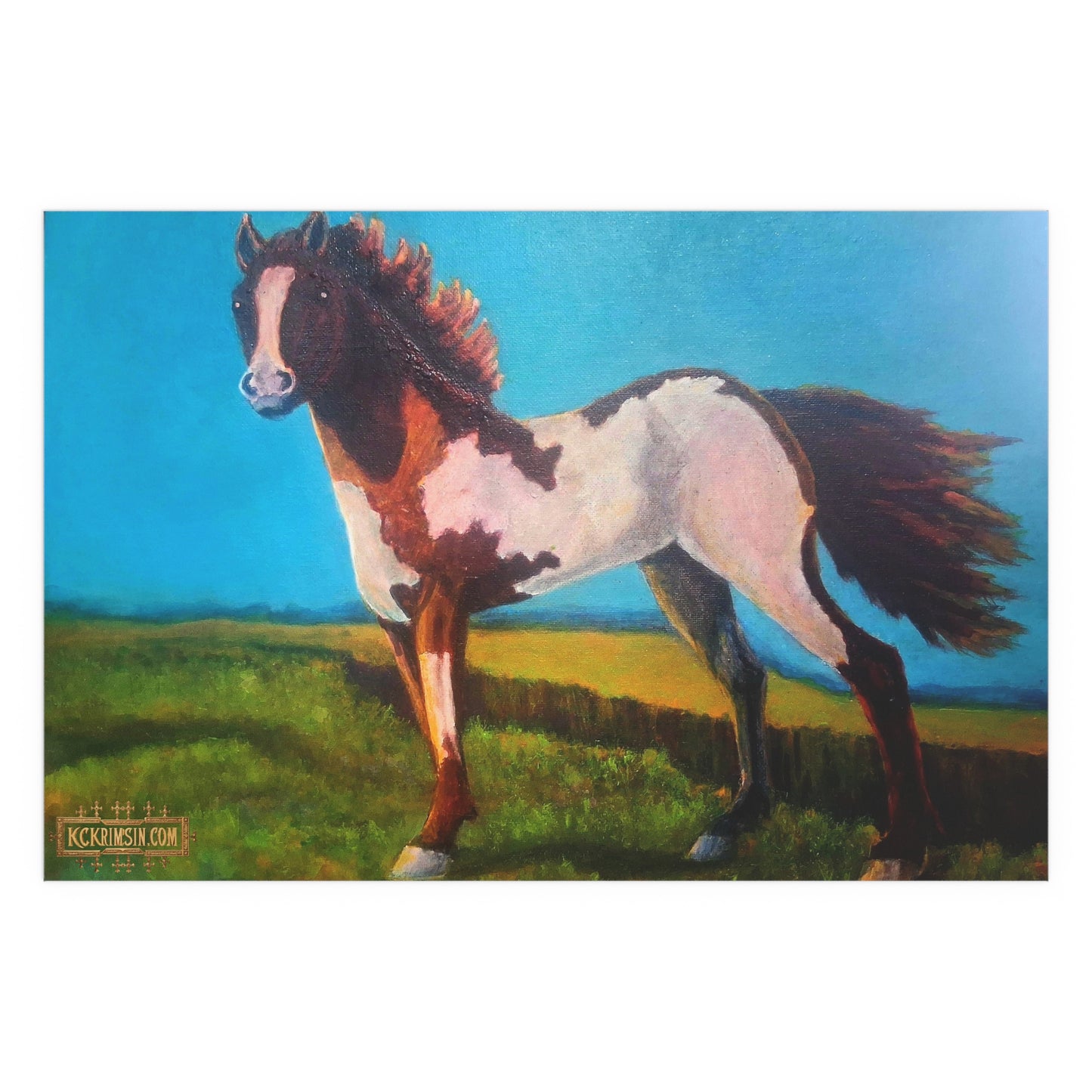 Wildfire Mustang Horse Desert Silk Poster — Southwest Fantasy Acrylic Print