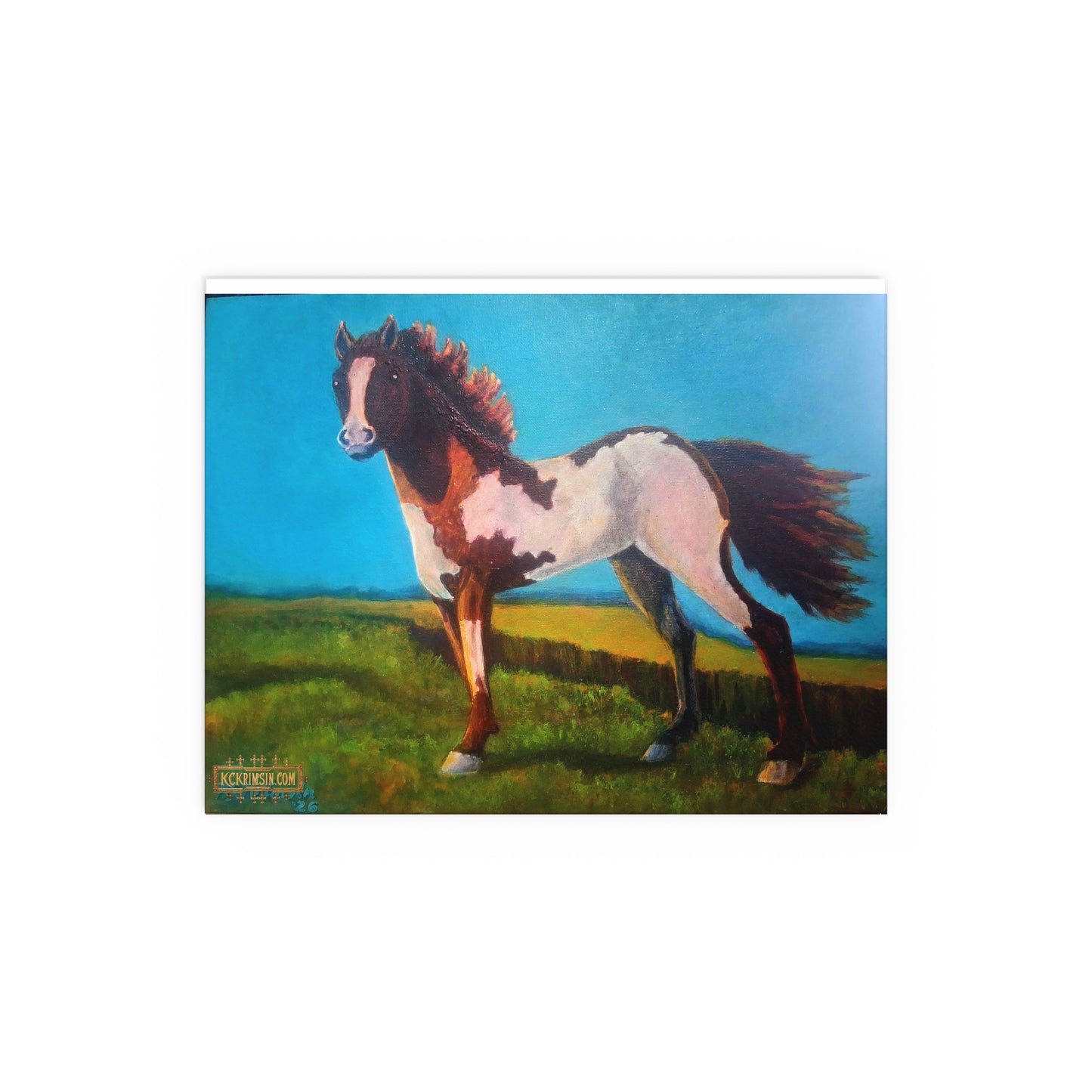 Wildfire Mustang Horse Desert Silk Poster — Southwest Fantasy Acrylic Print