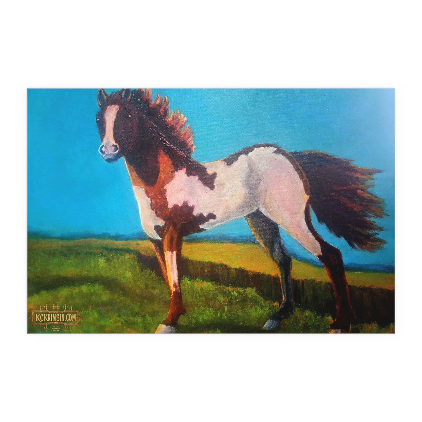 Wildfire Mustang Horse Desert Silk Poster — Southwest Fantasy Acrylic Print