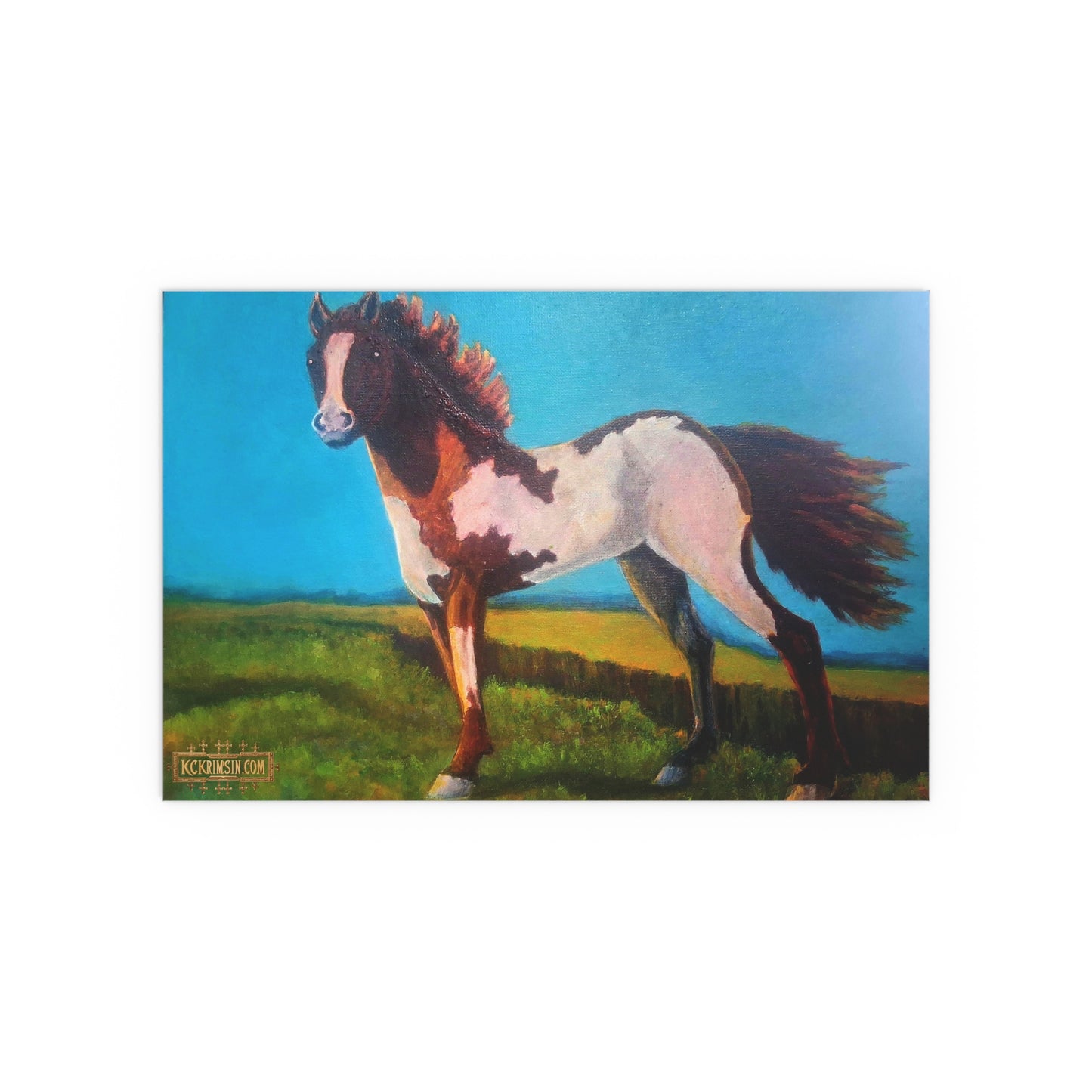 Wildfire Mustang Horse Desert Silk Poster — Southwest Fantasy Acrylic Print