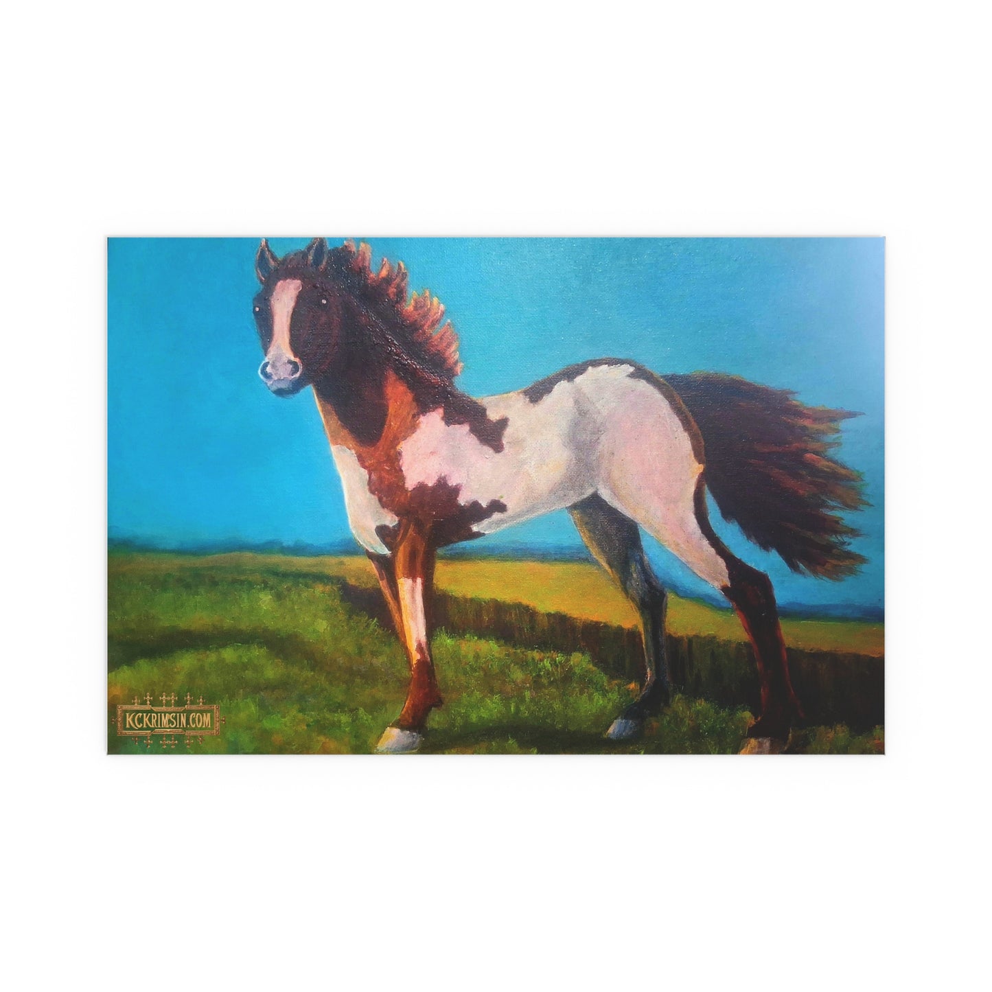 Wildfire Mustang Horse Desert Silk Poster — Southwest Fantasy Acrylic Print