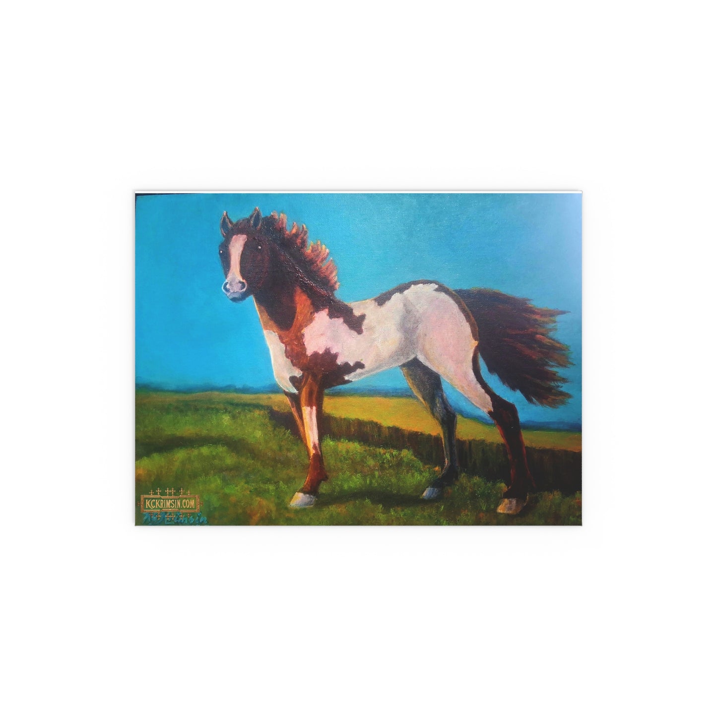 Wildfire Mustang Horse Desert Silk Poster — Southwest Fantasy Acrylic Print