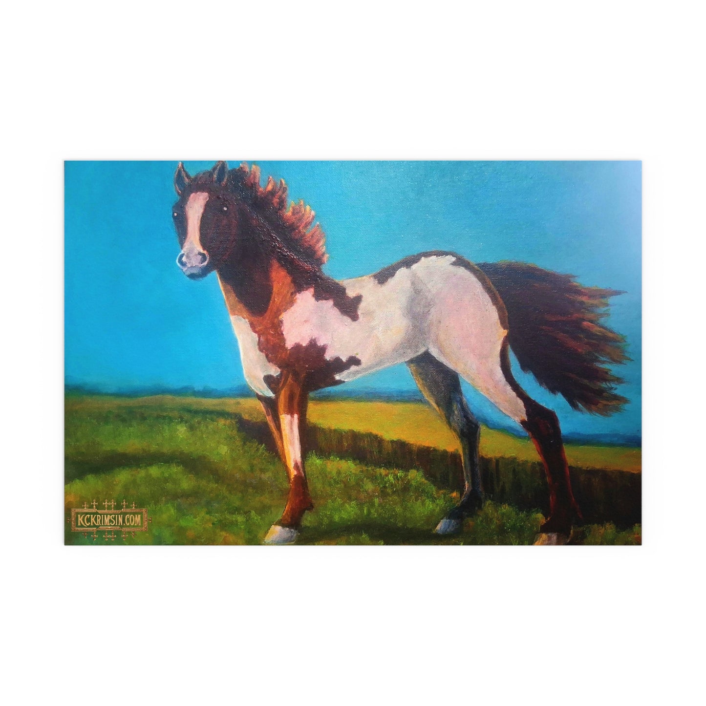 Wildfire Mustang Horse Desert Silk Poster — Southwest Fantasy Acrylic Print