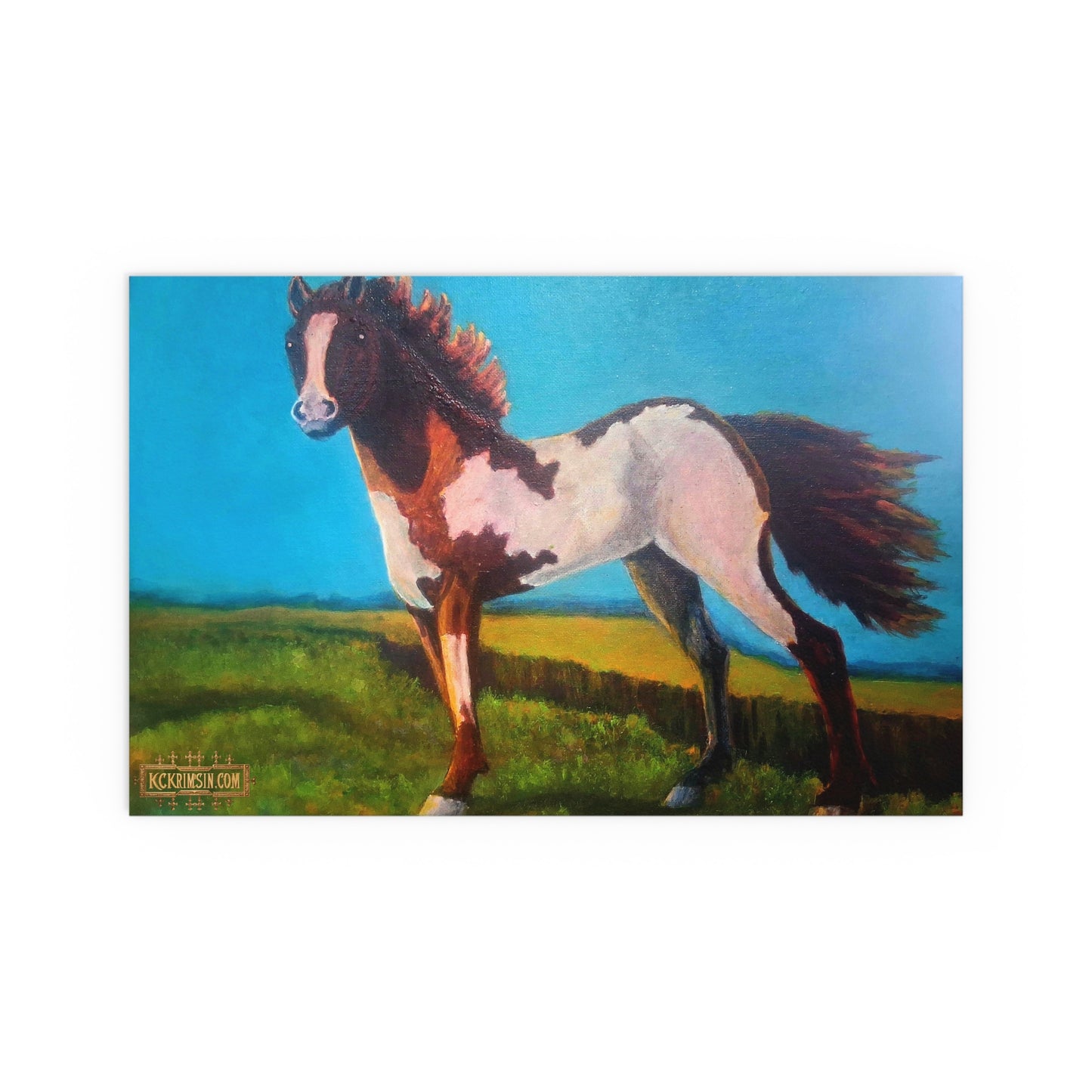 Wildfire Mustang Horse Desert Silk Poster — Southwest Fantasy Acrylic Print