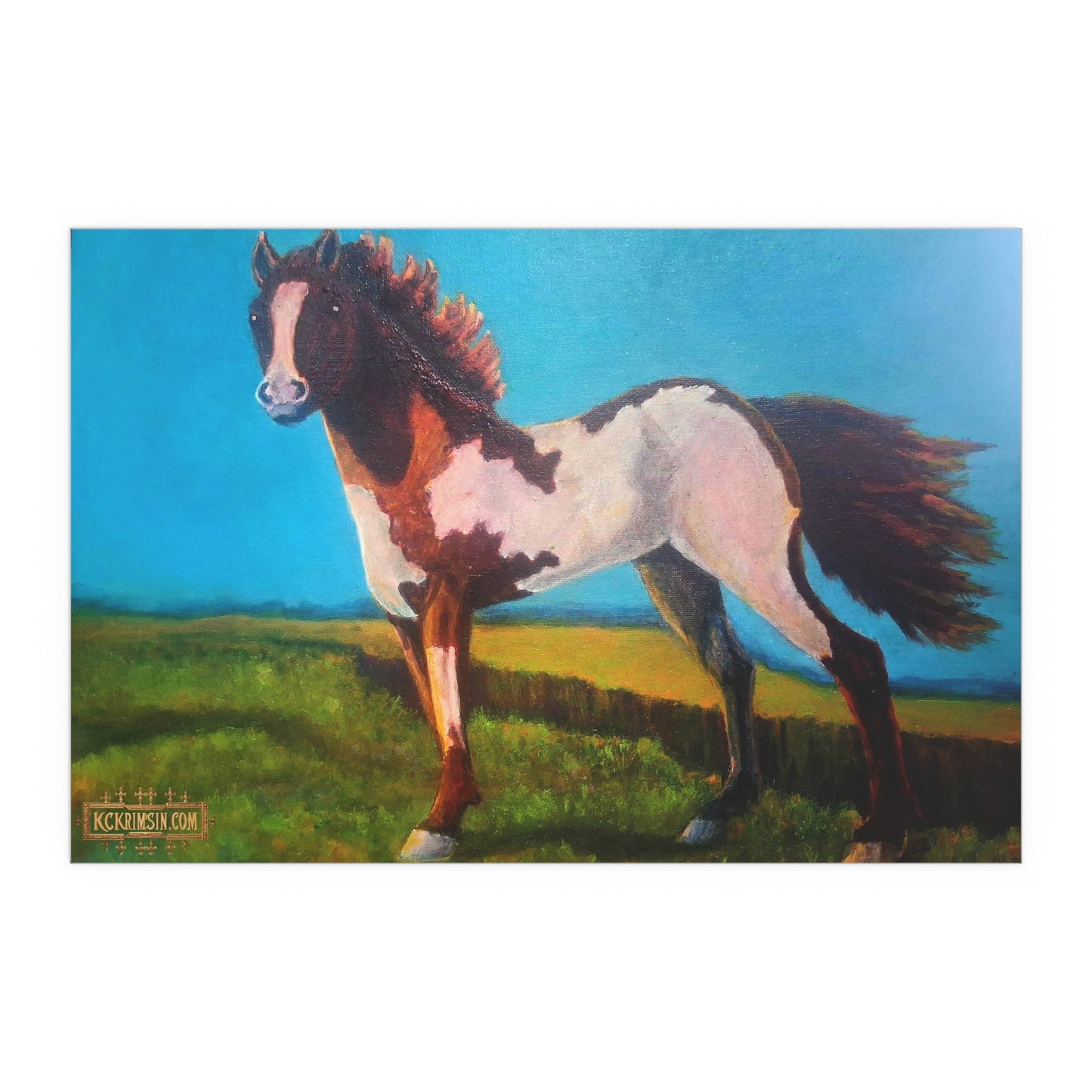 Wildfire Mustang Horse Desert Silk Poster — Southwest Fantasy Acrylic Print