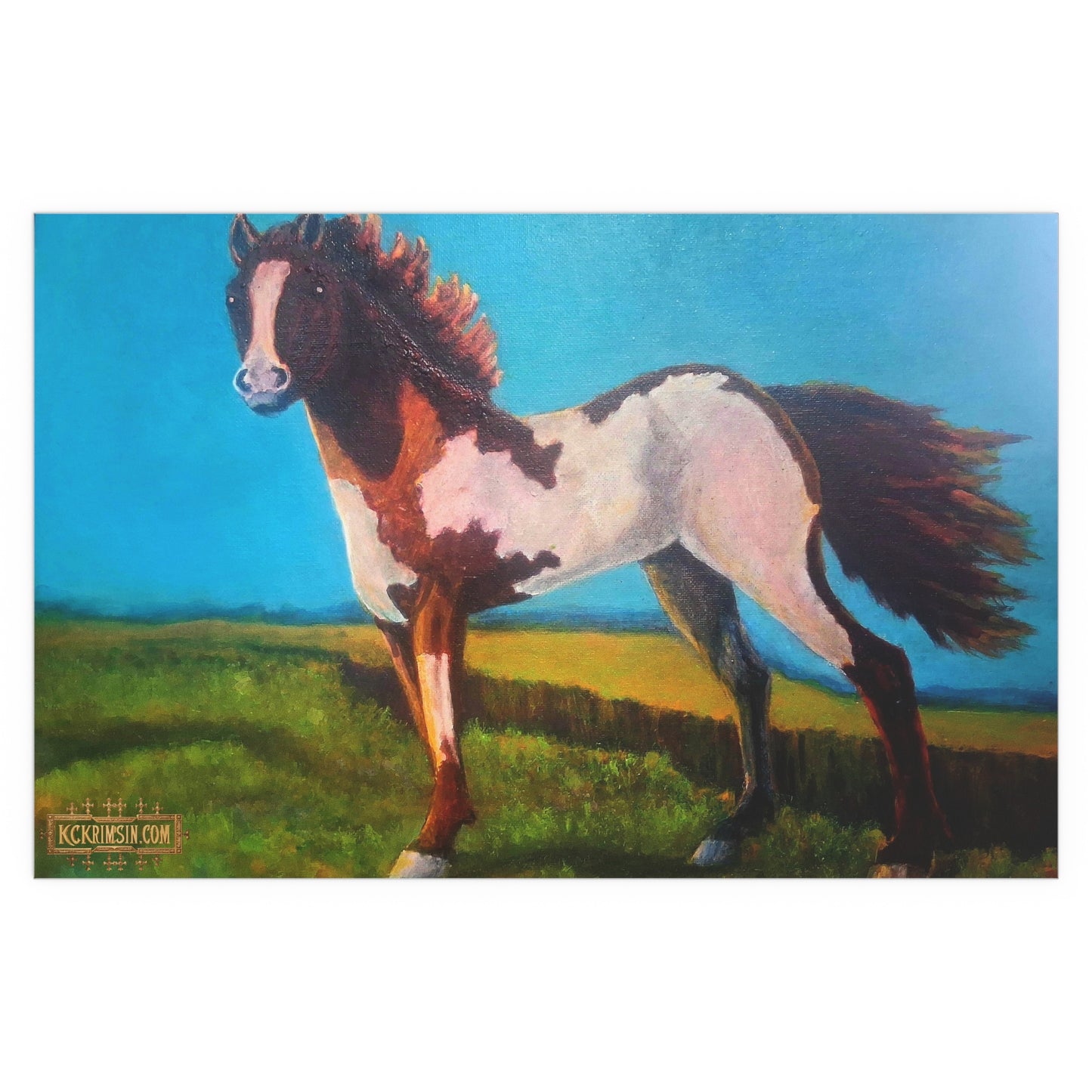 Wildfire Mustang Horse Desert Silk Poster — Southwest Fantasy Acrylic Print
