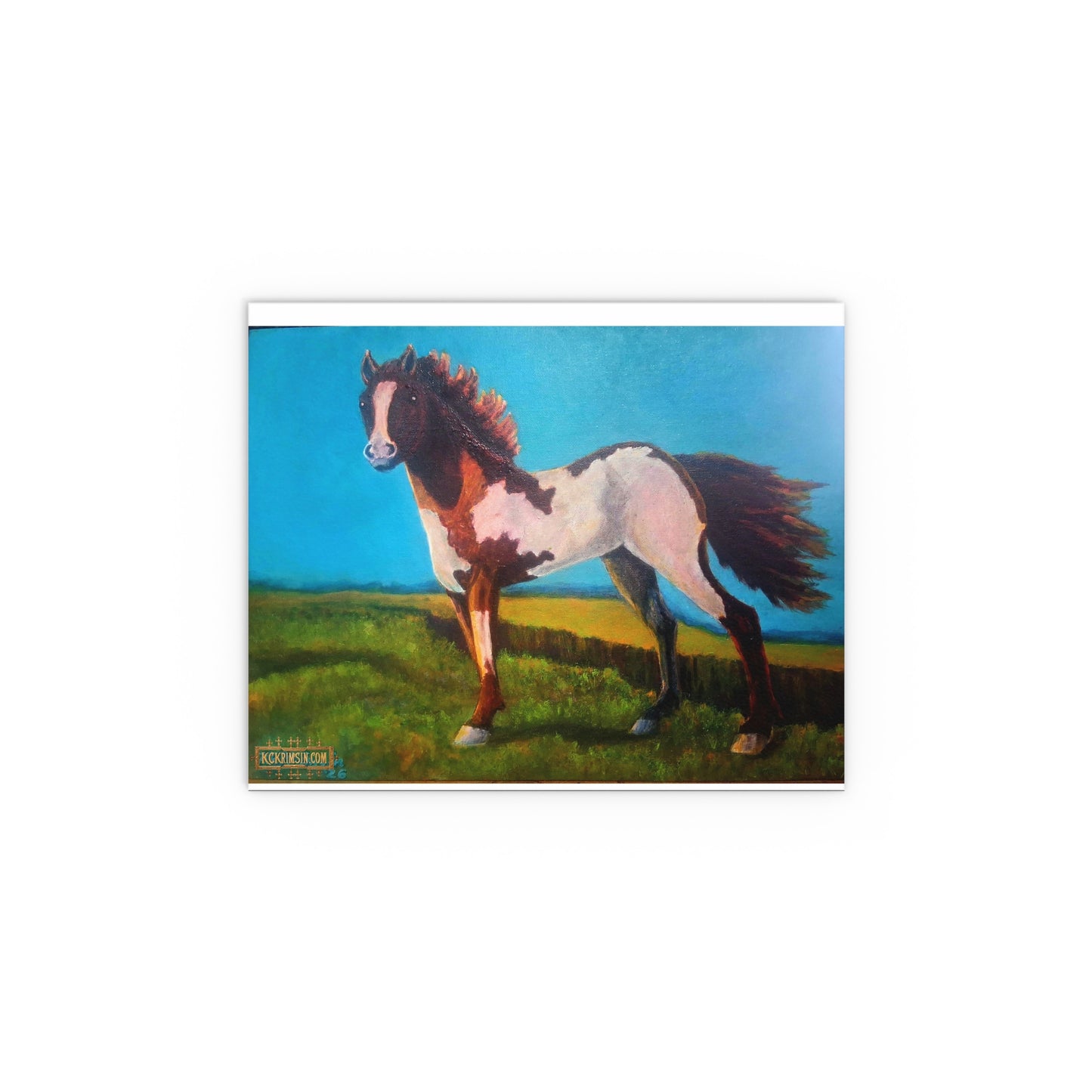 Wildfire Mustang Horse Desert Silk Poster — Southwest Fantasy Acrylic Print
