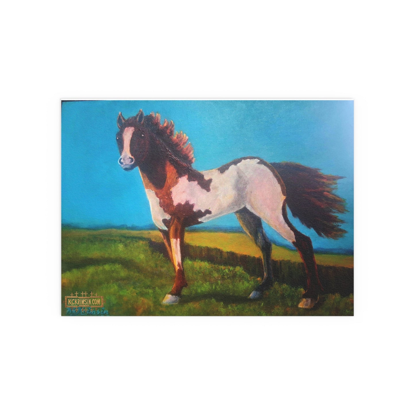 Wildfire Mustang Horse Desert Silk Poster — Southwest Fantasy Acrylic Print