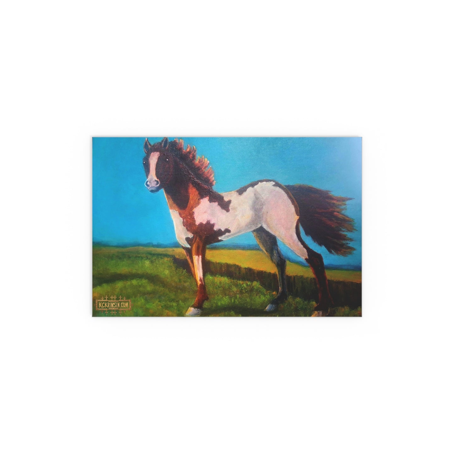 Wildfire Mustang Horse Desert Silk Poster — Southwest Fantasy Acrylic Print