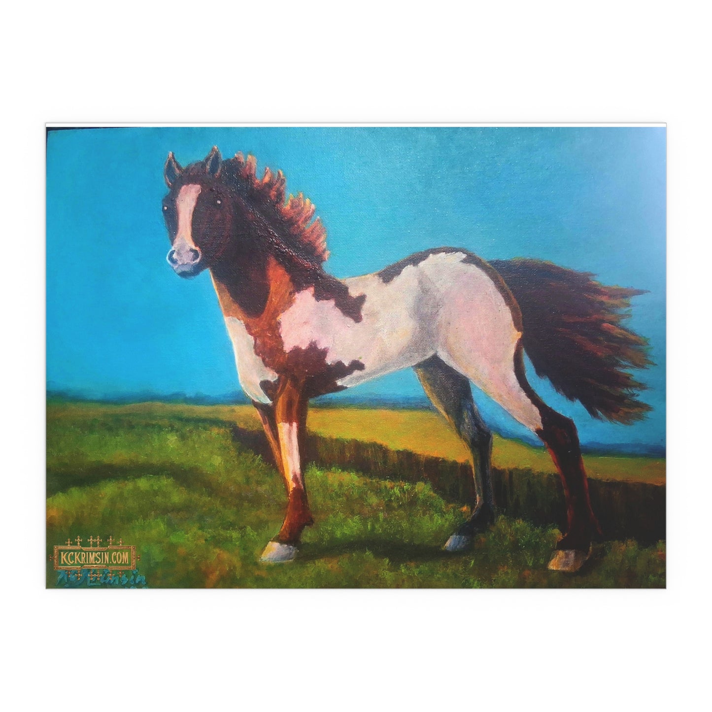 Wildfire Mustang Horse Desert Silk Poster — Southwest Fantasy Acrylic Print